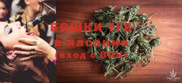 трава Медвежьегорск