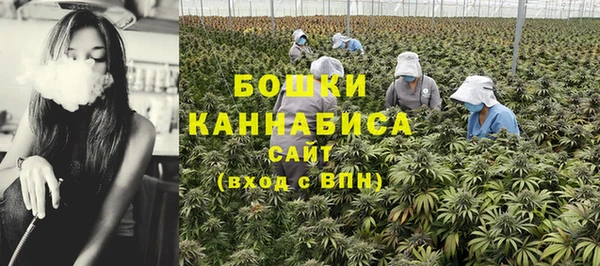 трава Медвежьегорск