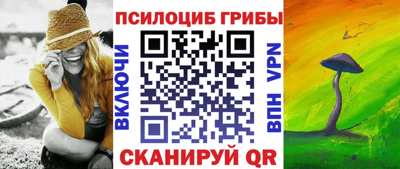 где купить   Смоленск  Псилоцибиновые грибы GOLDEN TEACHER 
